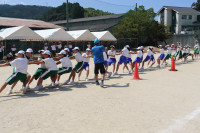 IMG_2012